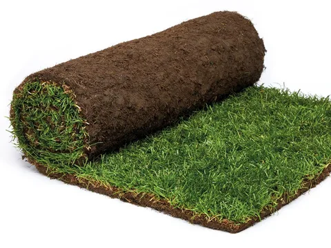 A roll of TopTurf premium lawn turf